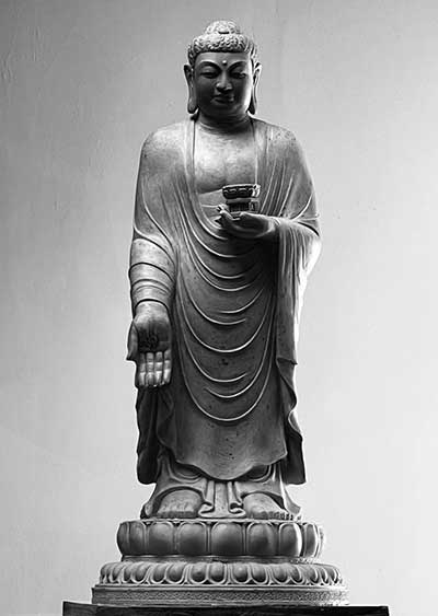 1740139270140470.jpg 6cb30f5ed3e57cbc1ab554e4b2e826e8.jpg